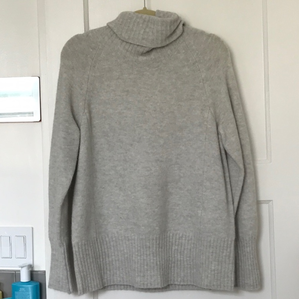 Babaton plutarch turtleneck sweater